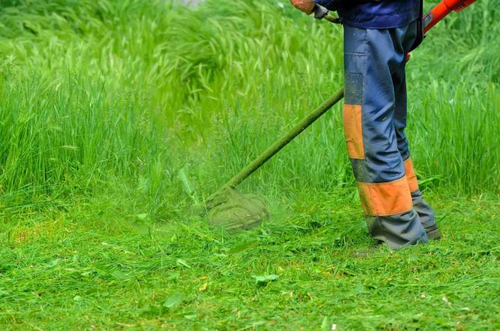 Service de débroussaillage Martinique