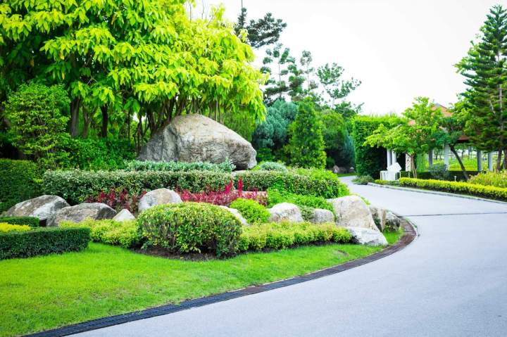 Entretien jardin Gros-Morne