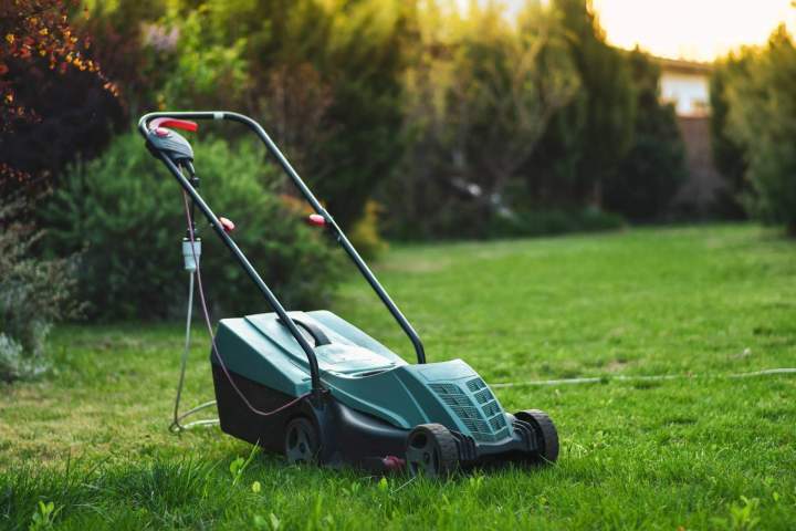 Tondeuse à gazon filaire Martinique