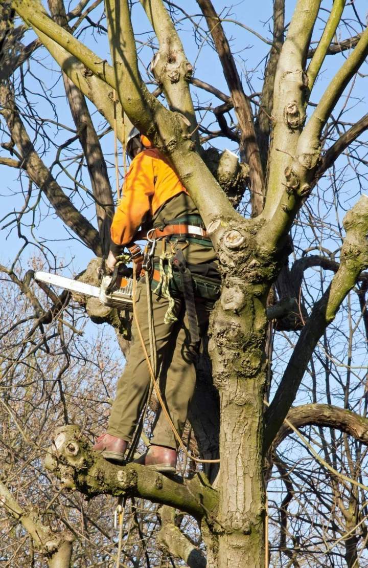 Travaux délagage Martinique