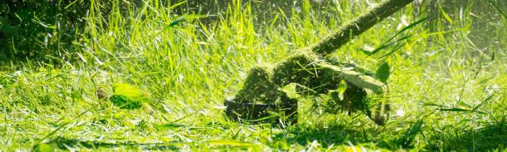 Opération de débroussaillage Martinique